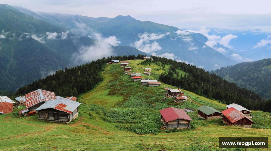 团结拼搏，驰骋竞技！